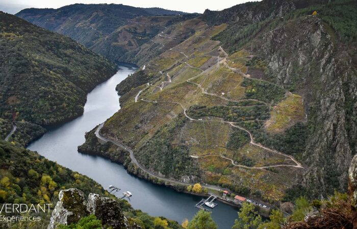 matacas-viewpoint