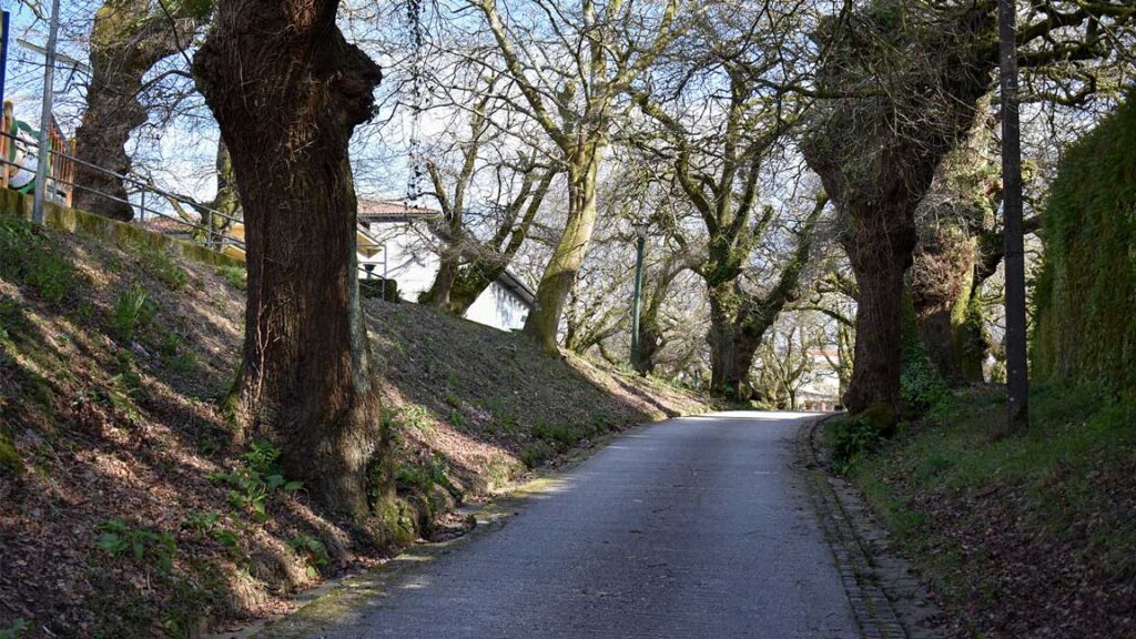 Sarela River Route to the University of Santiago