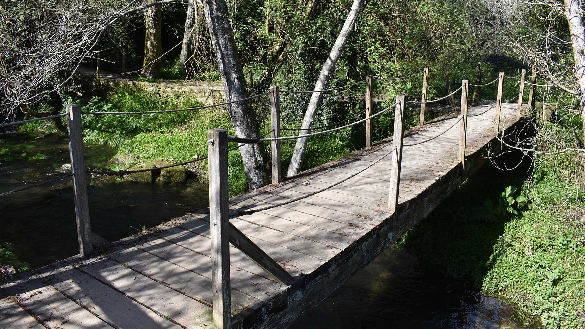 Puente río Sarela