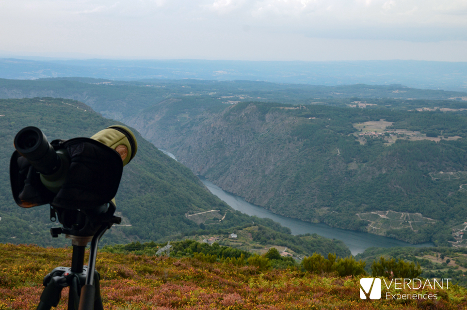 Ribeira Sacra Birding