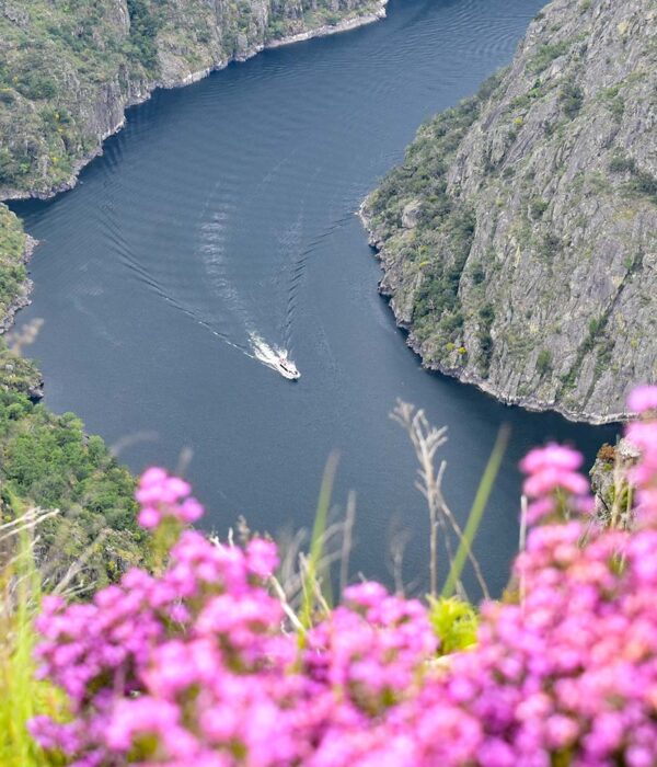 Puentes de Mayo Ribeira Sacra