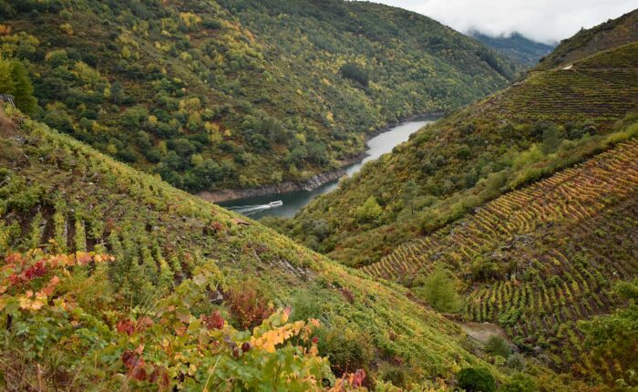 Ribeira Sacra Navegacion Otoño
