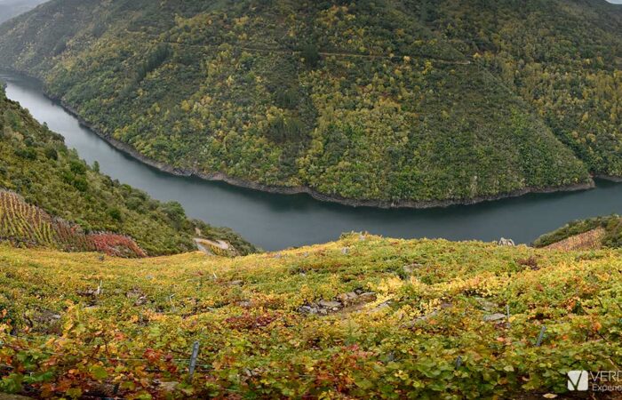 Viñedos de Ribeira Sacra